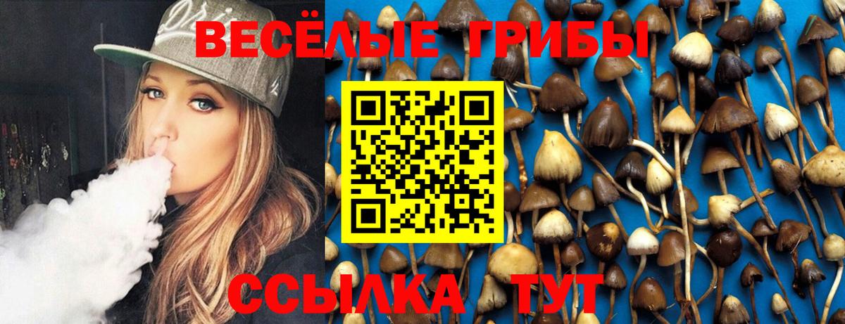 Псилоцибиновые грибы MAGIC MUSHROOMS  Вход с VPN  Псилоцибиновые грибы Psilocybine cubensis  Воткинск 
